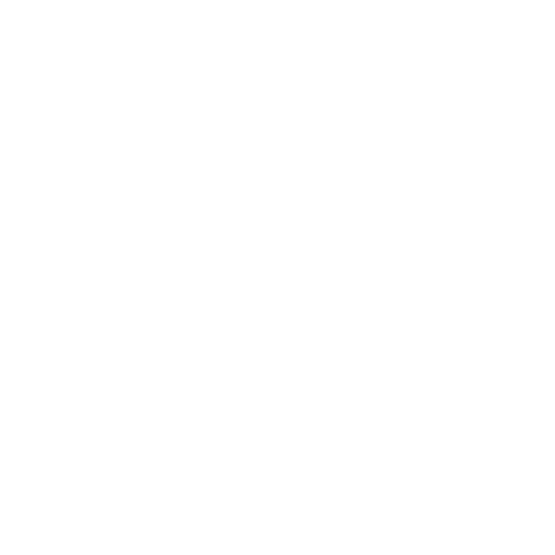 carpet (1) services